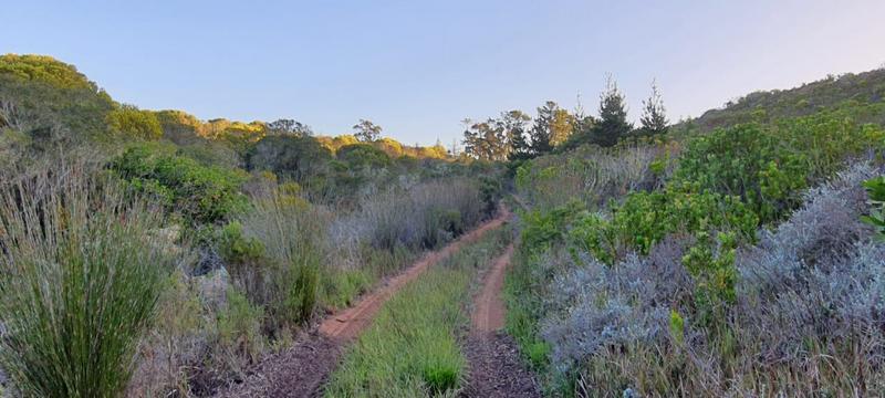 0 Bedroom Property for Sale in Albertinia Western Cape